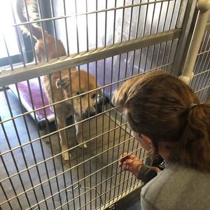 Meet your Posher, Mandy